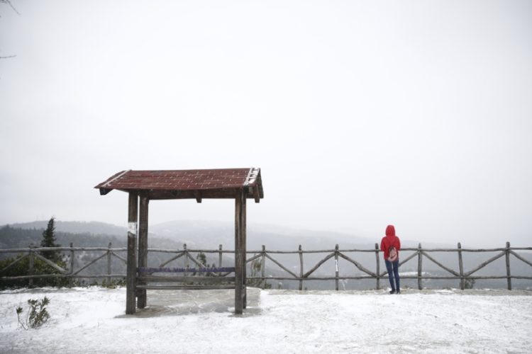 Το Ασβεστοχώρι εν μέσω χιονόπτωσης (φωτ. αρχείου: ΑΠΕ-ΜΠΕ/Δημήτρης Τοσίδης)