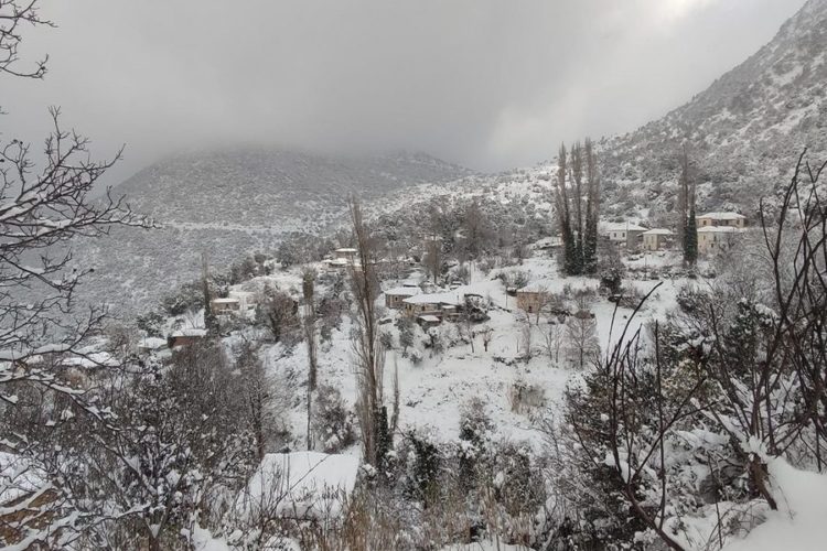 Χιονισμένο τοπίο στο ορεινό χωριό Κεφαλόβρυσο Αργολίδας (φωτ.: ΑΠΕ-ΜΠΕ/Ευάγγελος Μπουγιώτης)