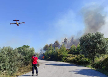 Αεροσκάφος που επιχειρούσε το Σάββατο στο μέτωπο της νότιας Εύβοιας (φωτ.: Facebook / Weather News Greece)