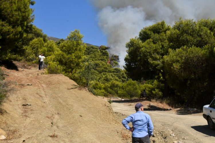 Εικόνα από την Πλατανόβρυση Αχαΐας όπου μαίνεται η φωτιά που ξέσπασε χθες, αρχικά στην Καλλιθέα (φωτ.: EUROKINISSI)