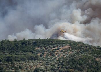 Αναζωπύρωση στη πυρκαγιά της Λέσβου. Περιοχή Βρίσα -Πολιχνίτος Τετάρτη 27 Ιουλίου 2022 (Φωτ.: Παναγιώτης Μπαλάσκας/Eurokinissi)