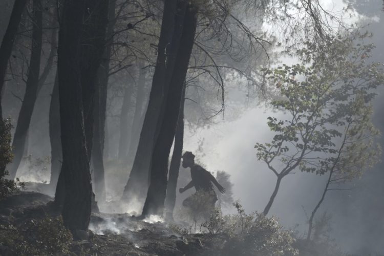 Εικόνα από τη φωτιά στο Πόρτο Γερμενό (φωτ.: Μιχάλης Καραγιάννης/EUROKINISSI)
