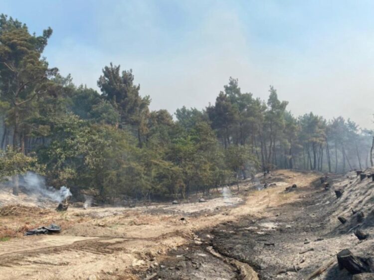 Φωτιά στη Δαδιά Έβρου (Φωτ.: Υπουργείο Κλιματικής Κρίσης και Πολιτικής Προστασίας /Eurokinissi)