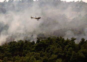 Πυροσβεστικό αεροσκάφος συμμετέχει στην επιχείρηση κατάσβεσης της μεγάλης πυρκαγιάς πουν μαίνεται για τέταρτη ημέρα στο Εθνικό Πάρκο Δαδιάς, στον Έβρο, Κυριακή 24 Ιουλίου 2022. (Φωτ.: ΑΠΕ-ΜΠΕ/Δημήτρης Αλεξούδης)