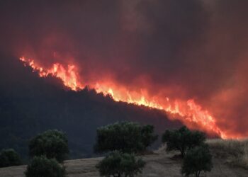 Σε εξέλιξη μεγάλη πυρκαγιά στα Κρέστενα στην Ηλεία, εκκενώνεται o οικισμός Σκυλλουντία, Κυριακή 24 Ιουλίου 2022 (ilialive.gr/Γιάννης Σπυρούνης/Eurokinissi)