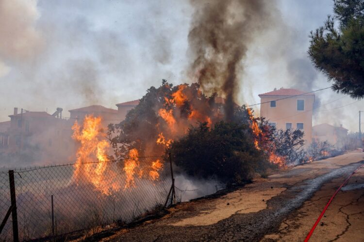 Πυρκαγιά στη Λέσβο, στην περιοχή Ρογκάδα των Βατερών . Σάββατο 23 Ιουλίου 2022 (Φωτ.: Παναγιώτης Μπαλάσκας/Eurokinissi)