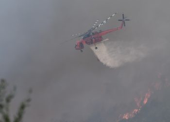 Πυρκαγιά στη Βάλμη Ηλείας (Φωτ.: ilialive.gr/Eurokinissi/Γιάννης Σπυρούνης)