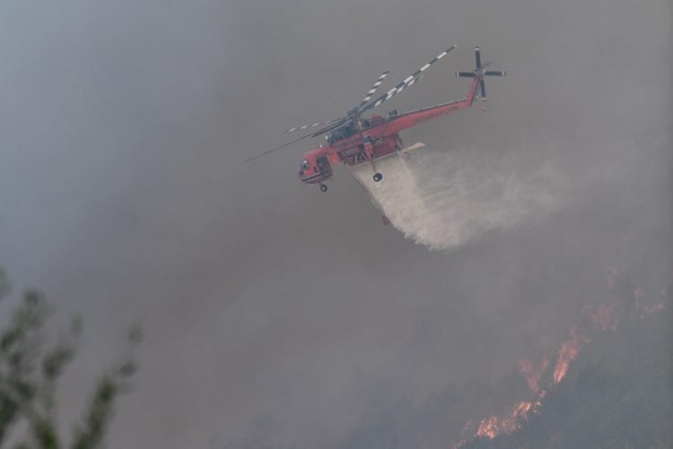 Πυρκαγιά στη Βάλμη Ηλείας (Φωτ.: ilialive.gr/Eurokinissi/Γιάννης Σπυρούνης)