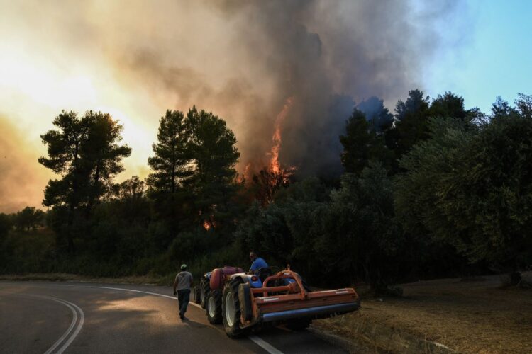 Λήψη από την πυρκαγιά στα Κρέστενα στην Ηλεία (φωτ.: Ilialive.gr /Γιάννης Σπυρούνης / EUROKINISSI)