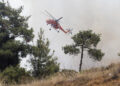 Πυρκαγιά στο δάσος του Σέιχ Σου (φωτ. αρχείου: Μotionteam / Γιώργος Κωνσταντινίδης)