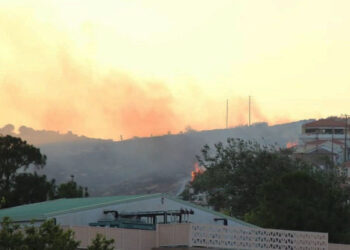 Η φωτιά που ξέσπασε στη Λαγκάδα Μυτιλήνης στις 10 Αυγούστου (φωτ.: stonisi.gr)