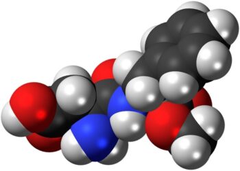 Το μοριακό μοντέλο της ασπαρτάμης, μιας εκ των ουσιών που μελετήθηκαν (φωτ.: WikimediaImages)