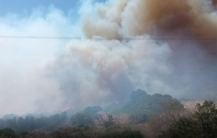 Εικόνα από την περιοχή όπου έχει ξεσπάσει η φωτιά στα Κύθηρα (φωτ.: Πυρκαγιά Ενημέρωση / Orestis Nikolaidis)