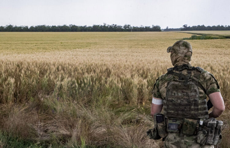Ρώσος στρατιώτης σε χωράφι με σιτηρά στη Μελιτόπολη (φωτ.: EPA / Sergei Ilnitsky)