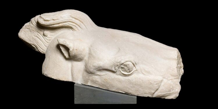 Παρθενώνιο θραύσμα από τα άλογα του τέθριππου της Αθηνάς που επιστρέφονται από το Βατικανό στην Αθήνα (Φωτ.: Γραφείο Τύπου υπουργείου Πολιτισμού)
