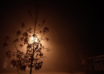 Βραδινή ομίχλη στην πόλη των Τρικάλων. (Φωτ. αρχείου: Eurokinissi/Θανάσης Καλλιάρας)