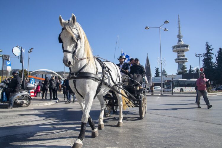 Περί τα 30 άλογα με άμαξες και τους ιππείς τους, οι οποίοι μετέχουν στο Σαλόνι Αλόγου, παρέλασαν στο κέντρο της Θεσσαλονίκης (φωτ.: ΜΟΤΙΟΝΤΕΑΜ/Βασίλης Βερβερίδης)