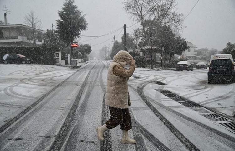 Χιονόπτωση στην περιοχή του Διονύσου Αττικής (φωτ.: EUROKINISSI / Μιχάλης Καραγιάννης)