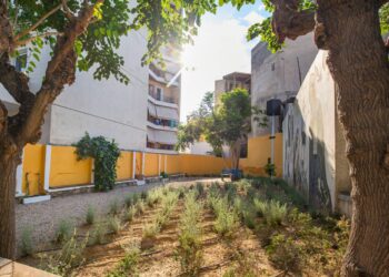 Τα τελευταία δύο χρόνια στην Αττική και την Θεσσαλονίκη, έχουν προστεθεί 15 πάρκα «τσέπης» υπό την επιστημονική καθοδήγηση της «Οργάνωσης Γη», στα οποία έχουν προστεθεί πάων από 8.200 δέντρα και φυτά (φωτ.: Δήμος Αθηναίων)