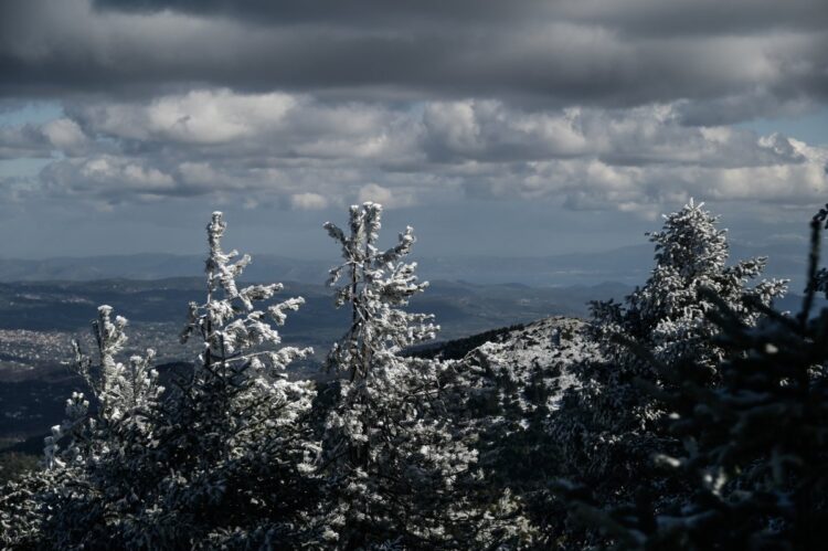 Τα πρώτα χιόνια έχουν ήδη πέσει στην Πάρνηθα (φωτ.: EUROKINISSI/Μιχάλης Καραγιάννης)