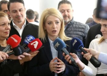 Η Αννίτα Δημητρίου κάνει δηλώσεις στους δημοσιογράφους (φωτ.: twitter.com/AnnitaDemetriou)