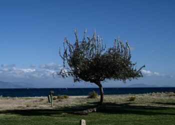 Αίθριος θα είναι σήμερα ο καιρός στο μεγαλύτερο μέρος της χώρας, με ανέμους 7-8 μποφόρ στο Αιγαίο (φωτ.: EUROKINISSI/Μιχάλης Καραγιάννης)