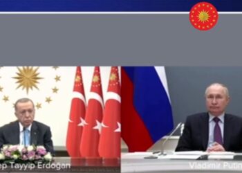 Τηλεδιάσκεψη Ερντογάν-Πούτιν για τον πυρηνικό σταθμό του Άκουγιου (Πηγή φωτ.: twitter.com/tcbestepe)