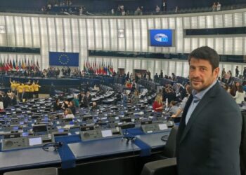 Ο Αλέξης Γεωργούλης στο ευρωκοινοβούλιο (φωτ.: facebook/Αλέξης Γεωργούλης)