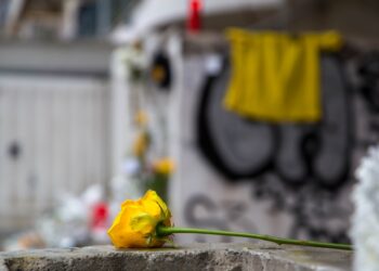 Ένα κίτρινο τριαντάφυλλο στο σημείο όπου δολοφονήθηκε ο Άλκης Καμπανός (φωτ.: ΜΟΤΙΟΝΤΕΑΜ/Ραφαήλ Γεωργιάδης)