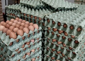 Τα αυγά που προέρχονταν από τη Βουλγαρία επρόκειτο να διοχετευτούν στη Γλυφάδα, την Κω και το Ρέθυμνο της Κρήτης (φωτ. αρχείου: EUROKINISSI/Τατιάνα Μπόλαρη)