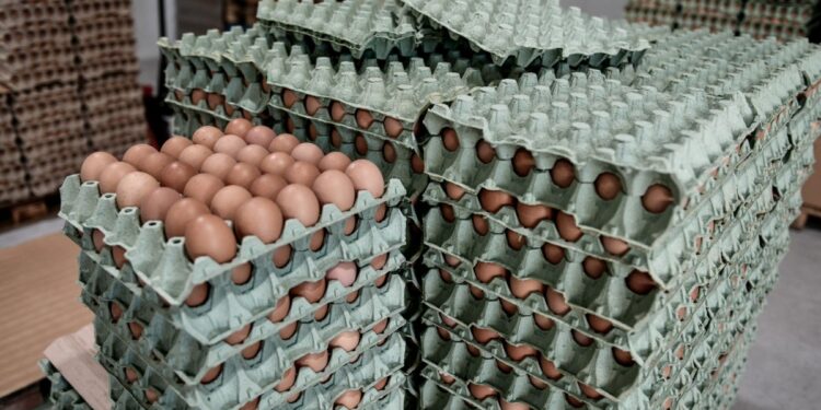 Τα αυγά που προέρχονταν από τη Βουλγαρία επρόκειτο να διοχετευτούν στη Γλυφάδα, την Κω και το Ρέθυμνο της Κρήτης (φωτ. αρχείου: EUROKINISSI/Τατιάνα Μπόλαρη)