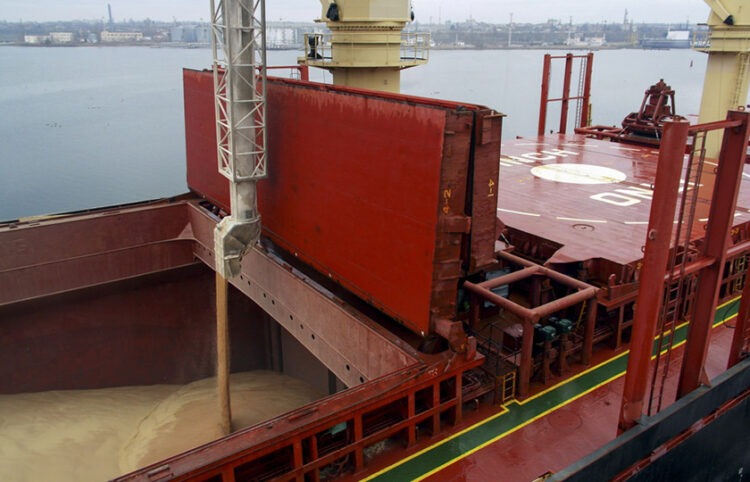 Ουκρανικά σιτηρά σε bulk carrier στο λιμάνι της πόλης Τσορνομόρσκ, κοντά στην Οδησσό (φωτ.: EPA / Igor Tkachenko)