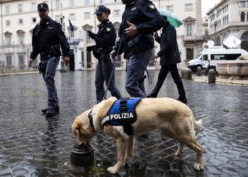 Σκυλί της ιταλικής αστυνομίας ελέγχει εξωτερικό χώρο για κρυμμένα εκρηκτικά, ενόψει της επίσκεψης του Ουκρανού προέδρου στη Ρώμη (φωτ.: EPA/Angelo Carconi)