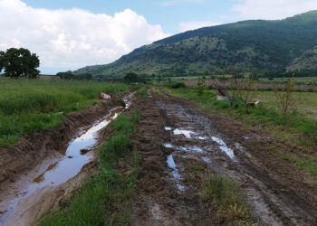 Μεγάλες οι καταστροφές στις καλλιέργειες στην Καστοριά (φωτ.: Δήμος Καστοριάς)