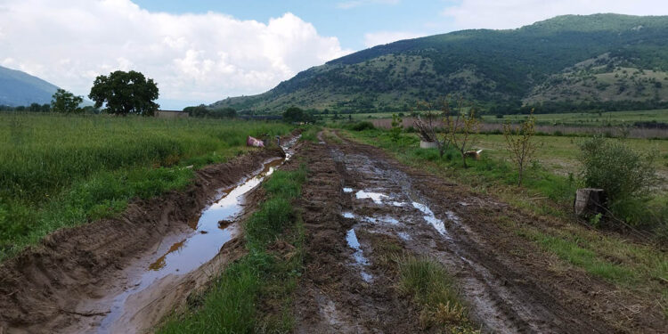 Μεγάλες οι καταστροφές στις καλλιέργειες στην Καστοριά (φωτ.: Δήμος Καστοριάς)