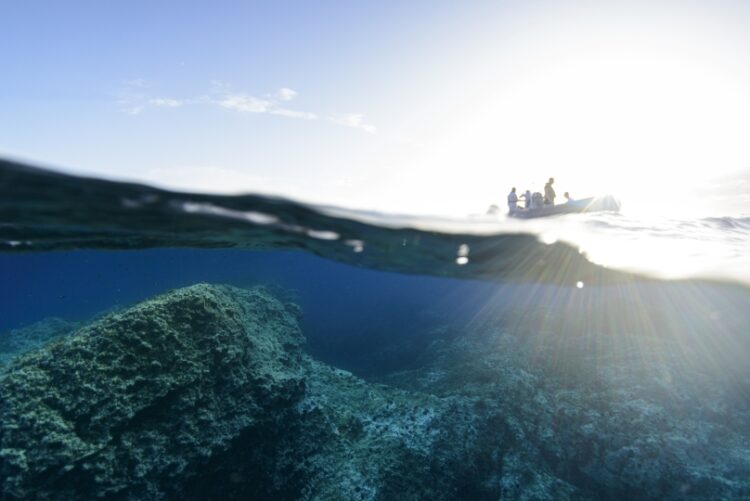 Ο ύφαλος Ριφ είναι εξαιρετικά ρηχός και διακρίνεται πολύ κοντά στην επιφάνεια της θάλασσας της Μεσογείου (φωτ.: UNESCO / Angel Fitor)