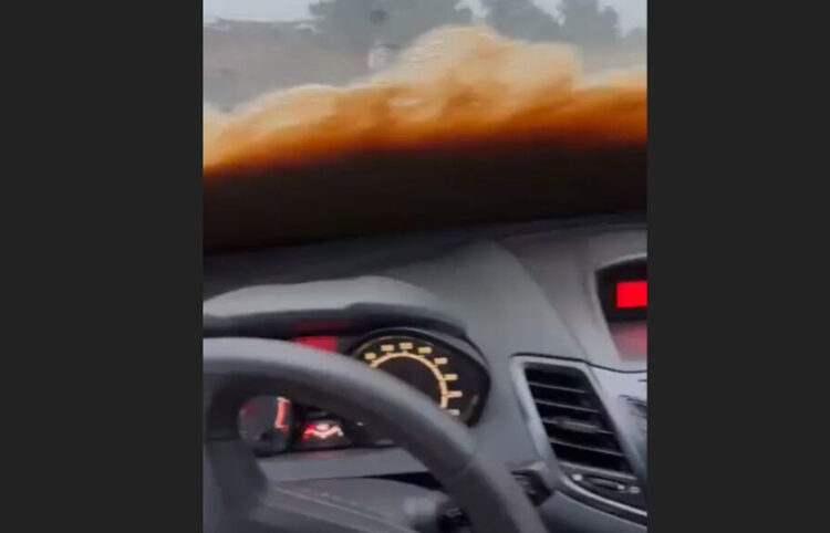 Καρέ από το βίντεο που τράβηξε ο οδηγός (πηγή: ΕΡΤ)