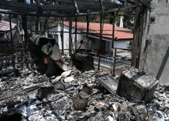 Καταστροφές στην περιοχή της Αγίας Σωτήρας στα Δερβενοχώρια από την πυρκαγιά (φωτ.: Τατιάνα Μπόλαρη/ EUROKINISSI)