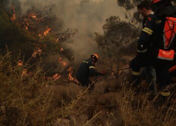 Πυρκαγιά στην περιοχή Νέα Πέραμο,  Άνω Βλυχάδας
(φωτ.: Βασίλης Ρεμπάπης/ EUROKINISSI)