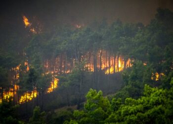 Μεγάλες αναζωπυρώσεις στη Ρόδο – Εκτός ελέγχου μαίνεται η φωτιά