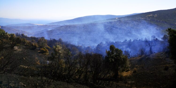 Πυρκαγιά στους Ραπταίους Καρύστου στην Εύβοια (φωτ. αρχείου: Eurokinissi/Τάσος Κούρος)