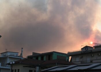 Καπνοί στον ουρανό της Νέας Αγχιάλου (φωτ.: Eurokinissi/Τατιάνα Μπόλαρη)