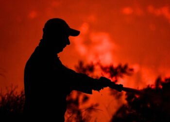 Πυροσβέστης δίνει μάχη με τις φλόγες (φωτ. αρχείου: Eurokinissi/Ilialive.gr/Γιάννης Σπυρούνης)
