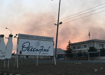 Φωτιά στη Νέα Αγχίαλο (φωτ.: EUROKINISSI / Τατιάνα Μπόλαρη)