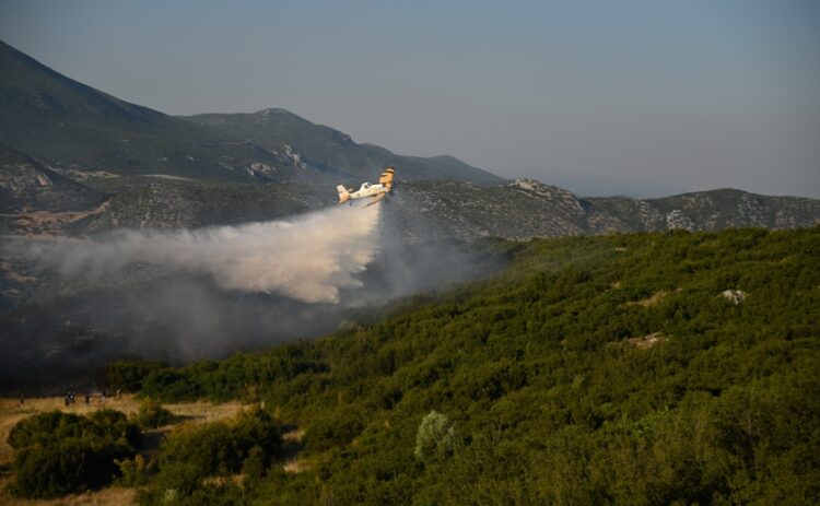 Πυροσβεστικό αεροσκάφος Canadair επιχειρεί σε δασική έκταση (φωτ.: EUROKINISSI/Νάσος Σιμόπουλος)