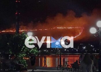 Στιγμιότυπο από τη φωτιά (φωτ.: evima.gr)