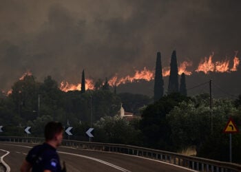 Πυρκαγιά στα Δερβενοχώρια (φωτ.: EUROKINISSI / Μιχάλης Καραγιάννης)