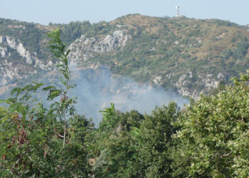 Καπνός από τη φωτιά στην Κύμη (φωτ.: Facebook / Δημήτριος Πέππας)