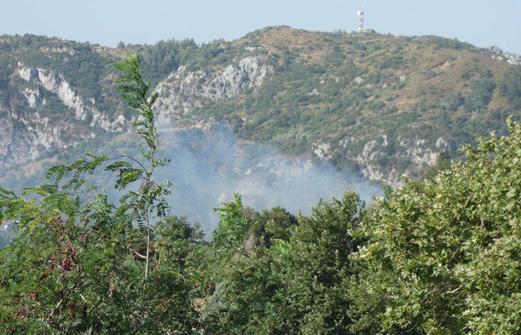 Καπνός από τη φωτιά στην Κύμη (φωτ.: Facebook / Δημήτριος Πέππας)