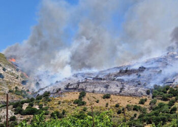 Η φωτιά στη Νάξο κατέκαψε περίπου 2.000 στρέμματα (φωτ.: Facebook / Δήμος Νάξου και Μικρών Κυκλάδων)